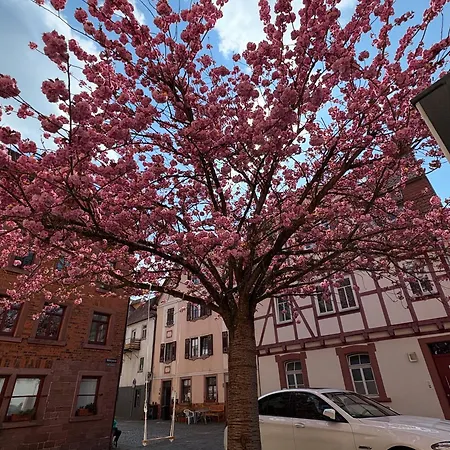 Wertheimer & Restaurant ホテル ヴェルトハイム