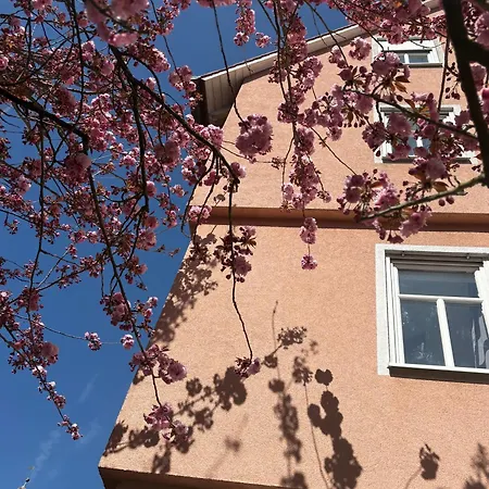 Wertheimer & Restaurant * Wertheim