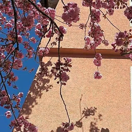 酒店 Wertheimer & Restaurant 韦特海姆